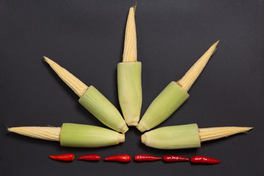 Fresh raw baby corn cobs with red chili pepper on gray background 