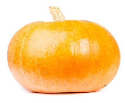 Orange pumpkin isolated on white background