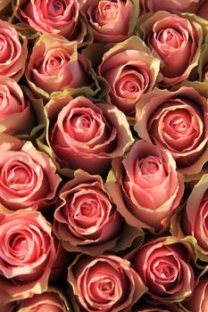 Pink roses in a floral wedding arrangement