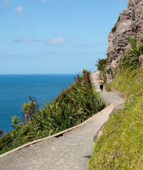 Woman athlete runs and hikes the steep path around the Mount in Tauranga New Zealand