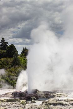 Whakarewarewa is a geothermal area within Rotorua city in the Taupo Volcanic Zone of New Zealand