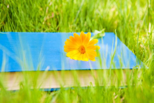 flower on the book