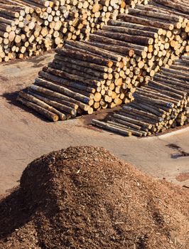 Piles of cut tree logs and trunks on wharf of Wellington Harbour in New Zealand ready for export