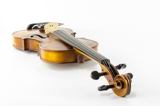 music string instrument violin isolated on white background