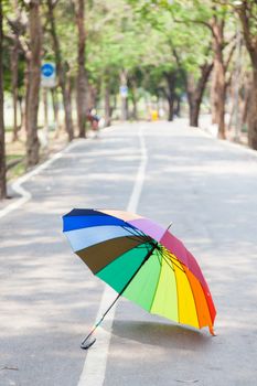 Multicolored umbrella on the sidewalk. Within the park area