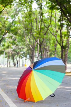 Multicolored umbrella on the sidewalk. Within the park area