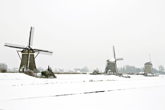 Traditional windmills in the countryside from the Netherlands in winter