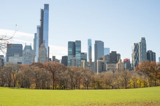NEW YORK, US - NOVEMBER 23: Manhattan skyline with Central Park field in the foreground in Autumn. November 23, 2013 in New York.