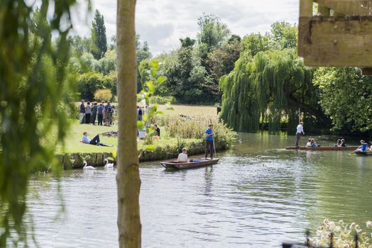 CAMBRIDGE, UK - AUGUST 18: Tourist punters in gondolas in River Cam with park full of trees in the background. August 18, 2013 in Cambridge.