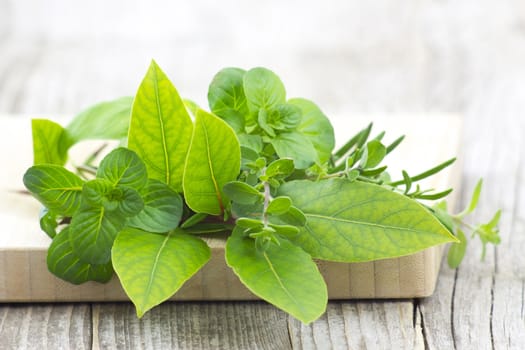Freshly harvested herbs on wooden background