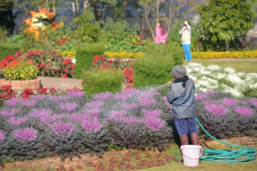 Khun Wang Park in Chiang mai, Thailand.