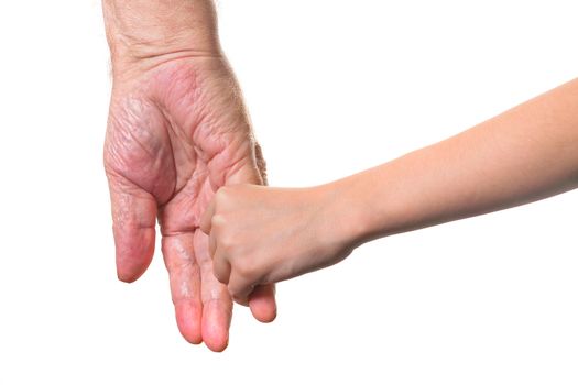 Senior and Young Women Holding Hands. Isolated.