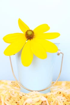 Lone yellow flower in a small bucket on table