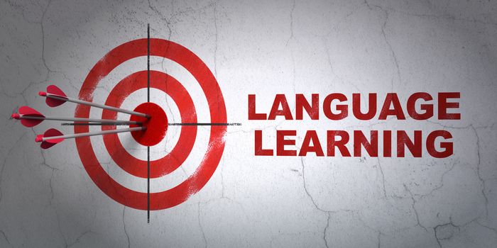 Success Education concept: arrows hitting the center of target, Red Language Learning on wall background, 3d render