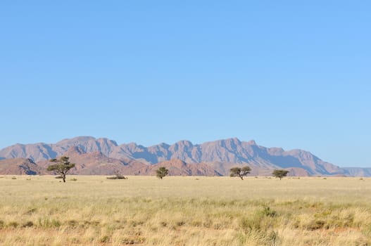 Grass and mountain landscape near Sesriem, Namibia
