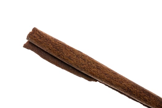 Macro photo of the end of a cinnamon stick with the bark starting to unroll