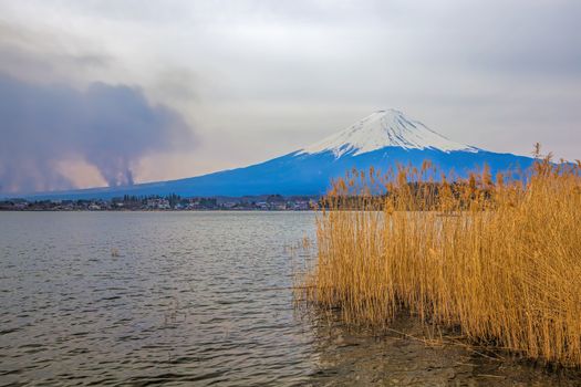 Mt Fuji in the spring seen from lake Kawaguchi