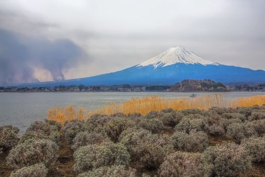 Mt Fuji in the spring seen from lake Kawaguchi