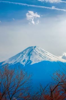 Mt Fuji and Cherry Blossoms at lake Kawaguchi