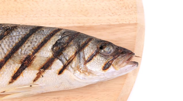 Close up of grilled seabass fish on platter. Whole background.
