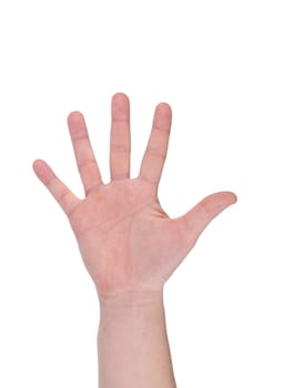 Five fingers. Man's hand. Isolated on a white background.