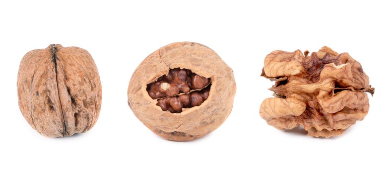 Three walnuts. Isolated on a white background.