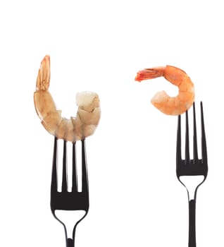 Shrimps raw and boiled on fork. Isolated on a white background.