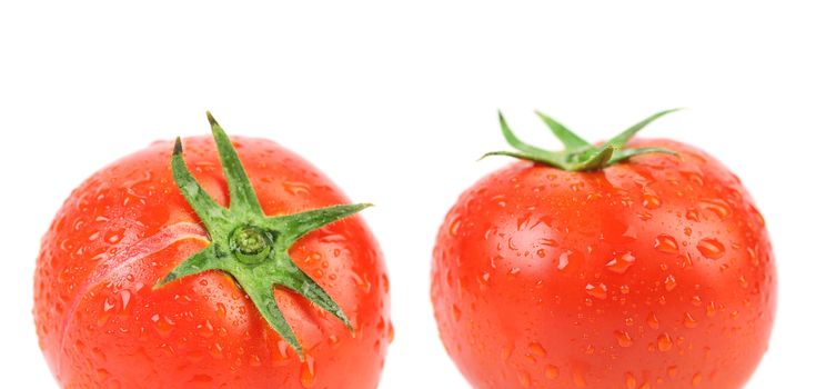 Two tomatoes with water drops. Isolated on a white background.