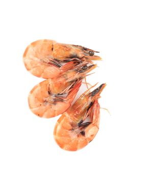Three delicious shrimps. Isolated on a white background.