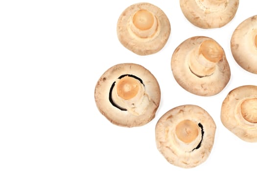 Bunch of white mushrooms close up. Whole background.