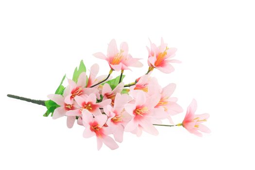 Close up of flower bouquet. Isolated on a white background.