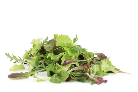 Mix salad. Isolated on a white background.