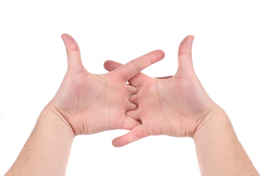 Fingers crossed in hand. Isolated on a white background.