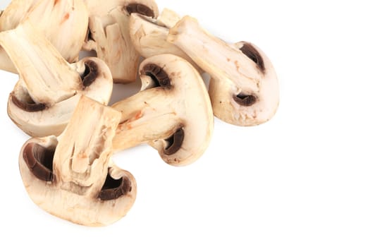 Bunch of white mushrooms close up. Whole background.