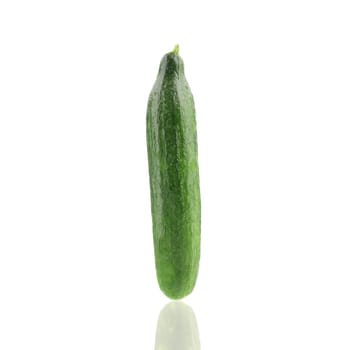 Close up of fresh cucumber. Isolated on a white background.