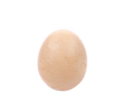 Close up of brown egg. Isolated on a white background.