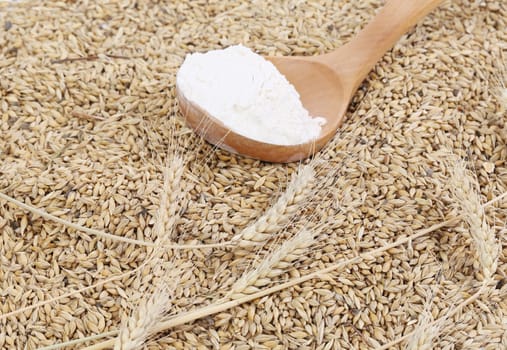 Wheat and spoon with flour. Close up. Whole background.