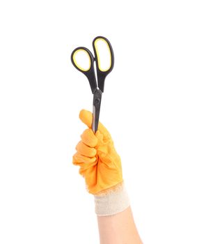 Hand in glove holding scissors. Isolated on a white background.