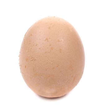 Close up of an egg. Isolated on a white background.