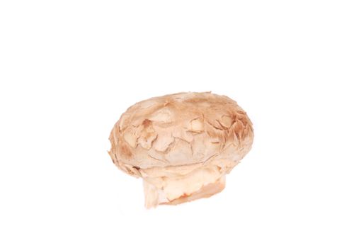 Fresh mushroom champignon. Isolated on a white background.