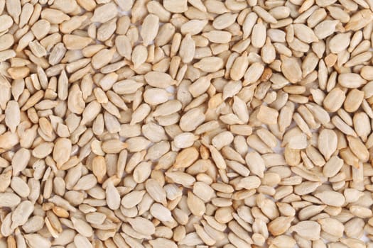 Sunflower seeds.
