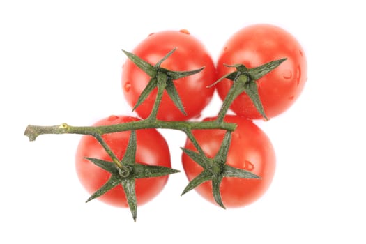 Cherry tomatoes on branch. Isolated on a white background.