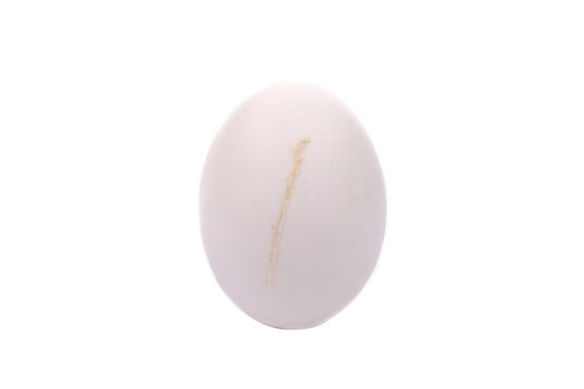 Dirty chicken egg. Isolated on a white background.