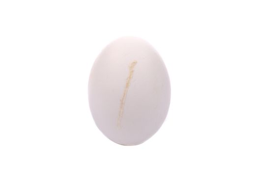 Dirty chicken egg. Isolated on a white background.