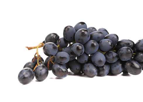 Black ripe grapes. Isolated on a white background.