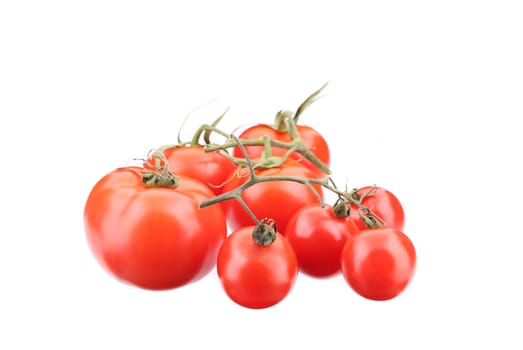 Branch of fresh tomatoes. Isolated on a white background.