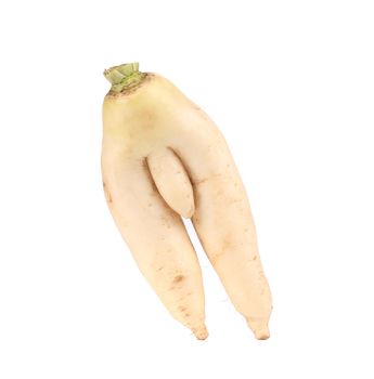 Close up of daikon bunch. Isolated on a white background.