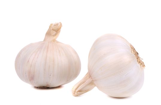 Head of garlic. Isolated on a white background.