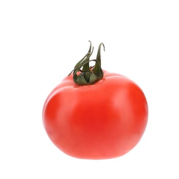 Close up of fresh tomato. Isolated on a white background.