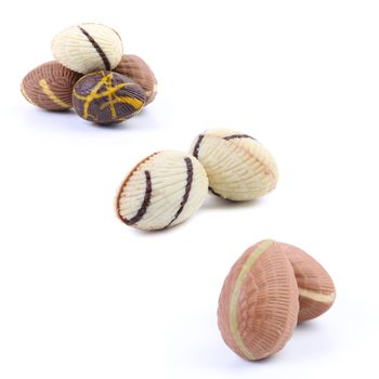 Colorful chocolate seashell. Isolated on a white background.